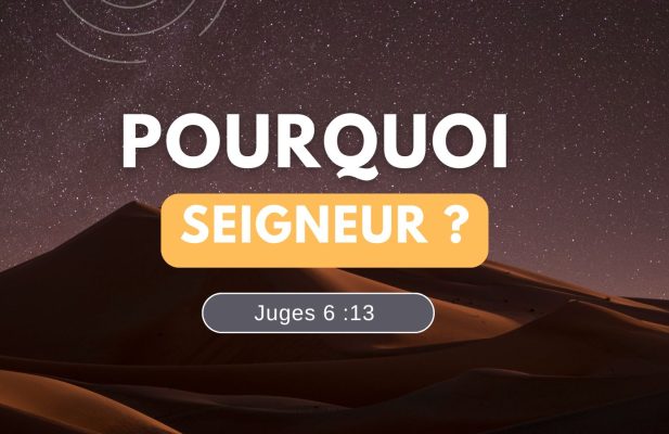 Pourquoi Seigneur ?
